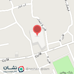 عکس کیف و کفش صدف