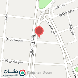 عکس موبایل و کامپیوتر روژان رایان 