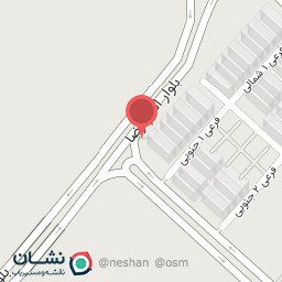 عکس کیف و کفش زرین