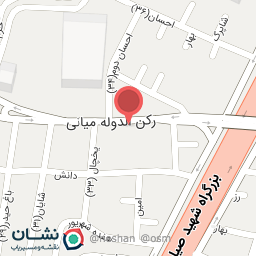 عکس موبایل فلورانس