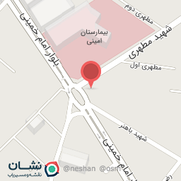 عکس مشاور املاک هستی