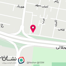 عکس پیتزا یاران