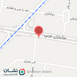 عکس لوازم اسپرت وآپشن اتومبیل فروشگاه دالام دولوم