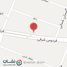 عکس پیتزا سیب 360 شعبه فردوس