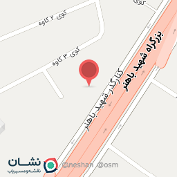 عکس کارواش فلامینگو