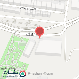 عکس خودپرداز