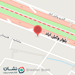 عکس دکتر سهیلا تیموری