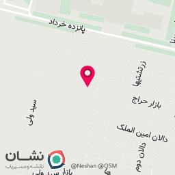 عکس طلای برزین پارسا