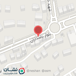 عکس فروشگاه پیلسا