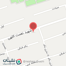 عکس شرکت اندیشکده صلح ماندگار