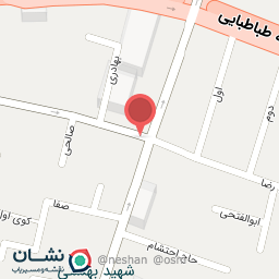 عکس میرزا رضا ( آخر دانشسرا)