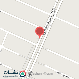 عکس تهیه غذای خانگی مهربانو 