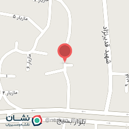 عکس شیرالات پارسا