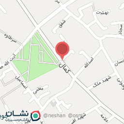 عکس پیتزا دیدو