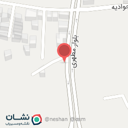 عکس تابلوفرش شیخ محسنی