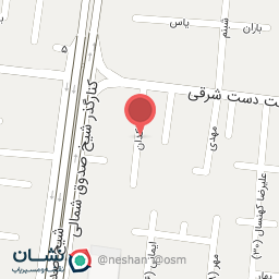 عکس دکتر آذر احمدپور