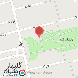 عکس بیمه پاسارگاد