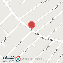 عکس پیتزا آنیسام 