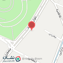 عکس فروشگاه محمد امیران روکش و دزدگیر