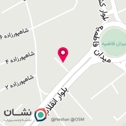 عکس شال و روسری شالیزشاپ 