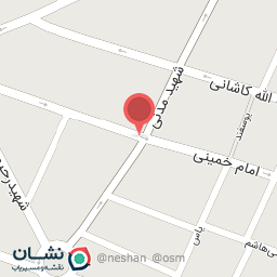 عکس لبنیاتی صالحی