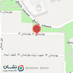 عکس لاستیک ارین