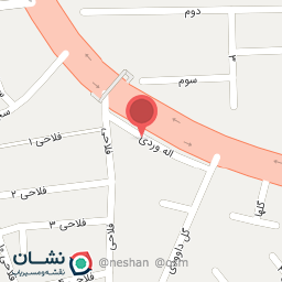 عکس پیتزا پرواز