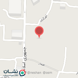 عکس طلای محمد پور