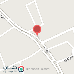 عکس کیف و کفش پانیذ زنانه