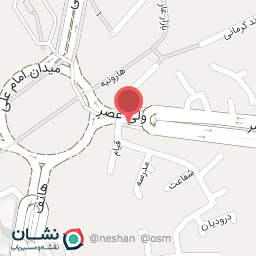 عکس کیف و کفش آرمان