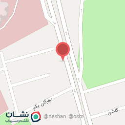 عکس اتو سرویس آقای روغن