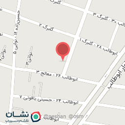 عکس سلمونی رضا