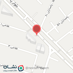 عکس دکتر سیده مریم شهرامیان