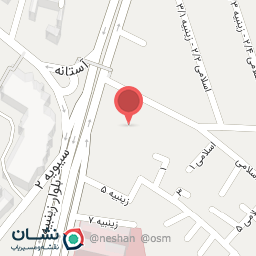 عکس صافکاری استاد امیر