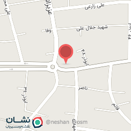 عکس مرغ زنده رضا مرغی