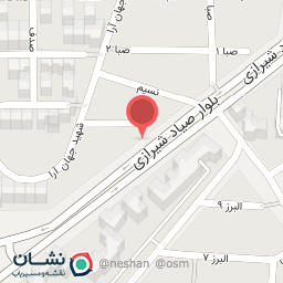 عکس برق خودروی نیکو