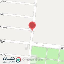 عکس کلید و ریموت شاکری