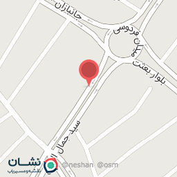 عکس فروشگاه رایان صنعت