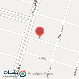 عکس نی نی دل دل