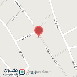 عکس پخش گیره و گل سر نظری 