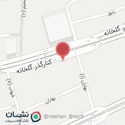 عکس دکتر مهناز سادات رفیع زاده طبائی زواره