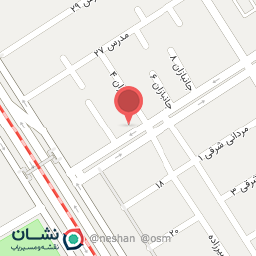 عکس پیتزا شبنم