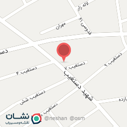 عکس کیف و کفش هیگر