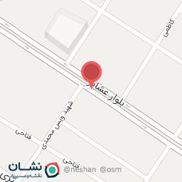 عکس لاستیک فروشی امیر