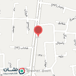 عکس پنچرگیری شیک