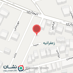 عکس برگر Délice 