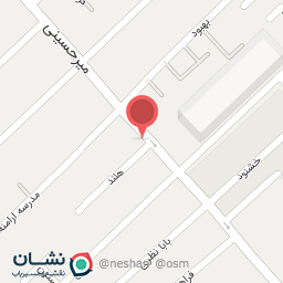 عکس پیتزا گارنی