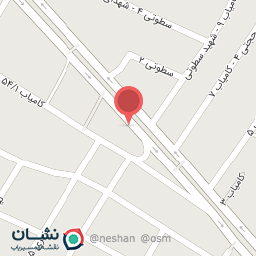عکس صداگیری خودرو