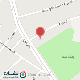 عکس کفش کاکتوس 