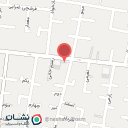 عکس الکترو امیر